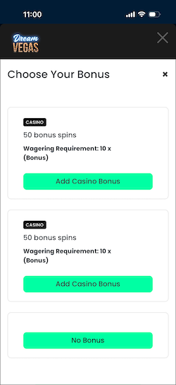 Choosing a bonus when depositing at Dream Vegas