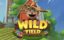 Wild Yield Slot