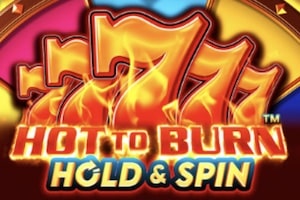 Hot To Burn Hold and Spin