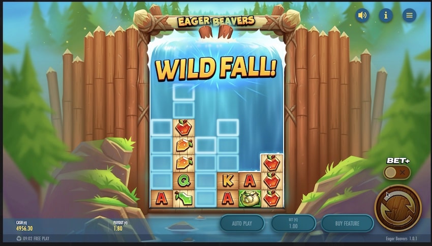 Eager Beavers Wild Fall